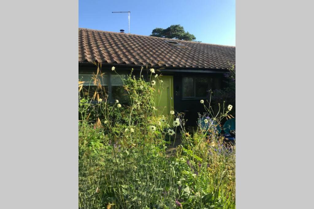 The Yellow Door Whitstable - Peaceful Retreat Close To Beach Eksteriør bilde